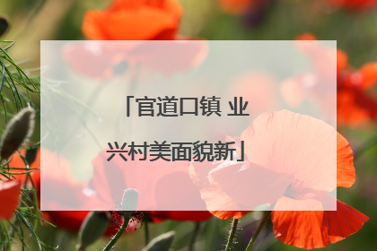 官道口镇 业兴村美面貌新