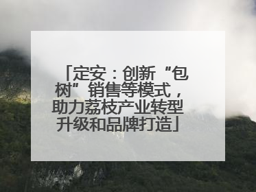 定安：创新“包树”销售等模式，助力荔枝产业转型升级和品牌打造