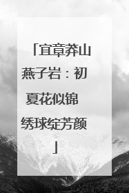 宜章莽山燕子岩：初夏花似锦 绣球绽芳颜