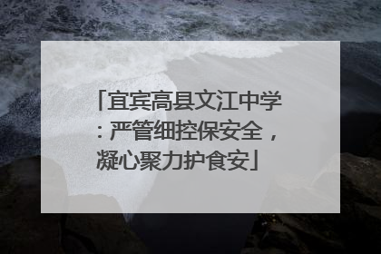 宜宾高县文江中学：严管细控保安全，凝心聚力护食安