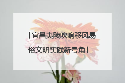 宜昌夷陵吹响移风易俗文明实践新号角