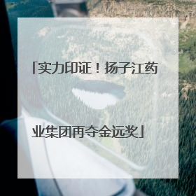 实力印证！扬子江药业集团再夺金远奖