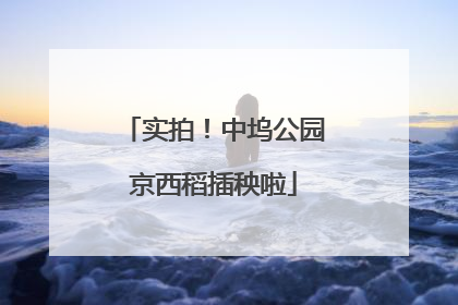 实拍！中坞公园京西稻插秧啦