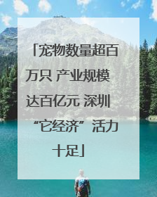 宠物数量超百万只 产业规模达百亿元 深圳“它经济”活力十足