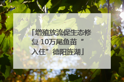 增殖放流促生态修复 10万尾鱼苗“入住”德阳旌湖