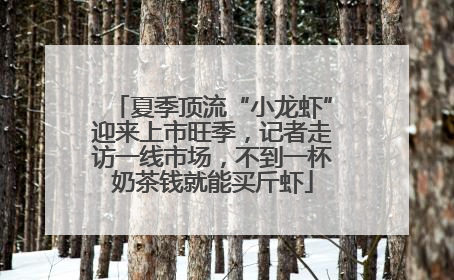 夏季顶流“小龙虾”迎来上市旺季，记者走访一线市场，不到一杯奶茶钱就能买斤虾
