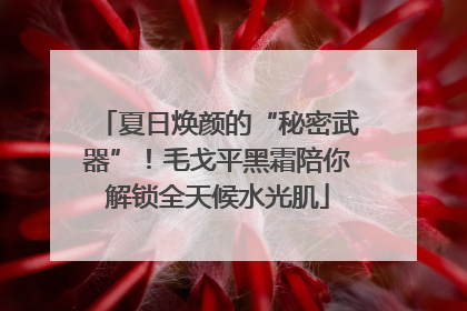 夏日焕颜的“秘密武器”！毛戈平黑霜陪你解锁全天候水光肌