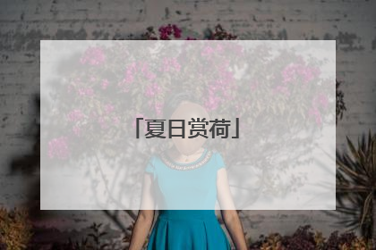 夏日赏荷