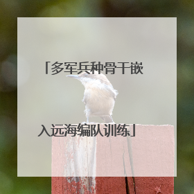 多军兵种骨干嵌入远海编队训练