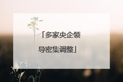 多家央企领导密集调整
