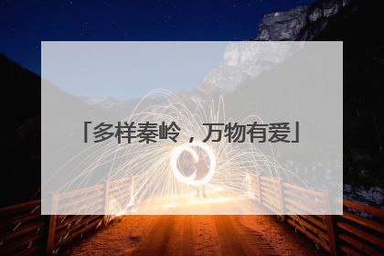 多样秦岭，万物有爱