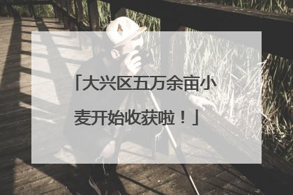 大兴区五万余亩小麦开始收获啦！