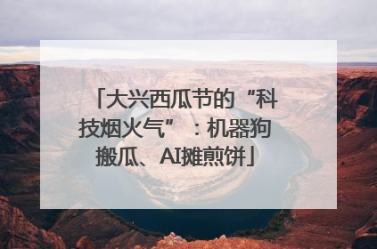 大兴西瓜节的“科技烟火气”：机器狗搬瓜、AI摊煎饼