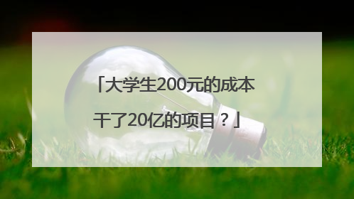 大学生200元的成本干了20亿的项目？