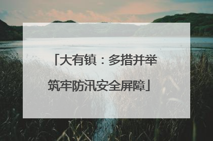 大有镇：多措并举筑牢防汛安全屏障