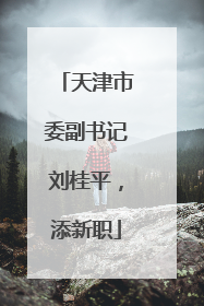 天津市委副书记刘桂平，添新职