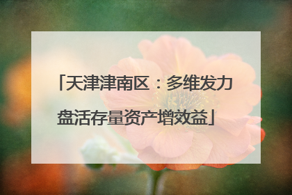 天津津南区：多维发力盘活存量资产增效益
