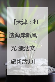 天津：打造海岸新风光 激活文旅新活力