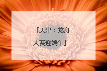 天津：龙舟大赛迎端午
