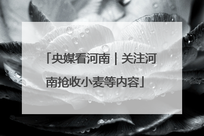 央媒看河南｜关注河南抢收小麦等内容