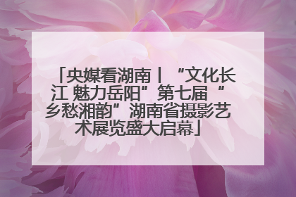 央媒看湖南丨“文化长江 魅力岳阳”第七届“乡愁湘韵”湖南省摄影艺术展览盛大启幕