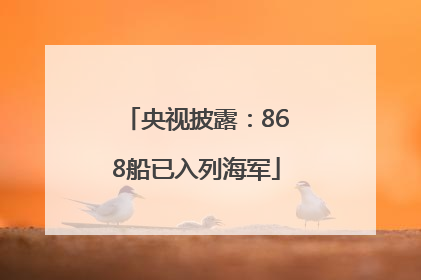 央视披露：868船已入列海军