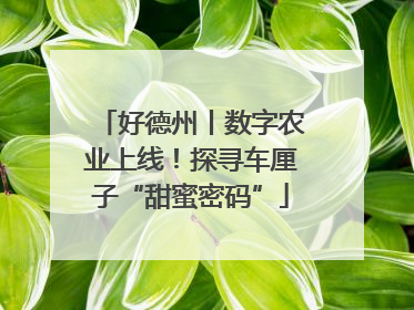 好德州丨数字农业上线！探寻车厘子“甜蜜密码”