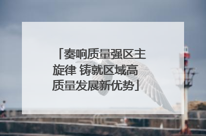奏响质量强区主旋律 铸就区域高质量发展新优势