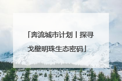 奔流城市计划丨探寻戈壁明珠生态密码