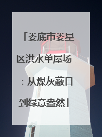 娄底市娄星区洪水单屋场：从煤灰蔽日到绿意盎然