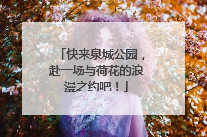 快来泉城公园，赴一场与荷花的浪漫之约吧！