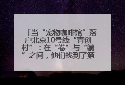 当“宠物咖啡馆”落户北京10号线“青创村”：在“卷”与“躺”之间，他们找到了第三种生活公式