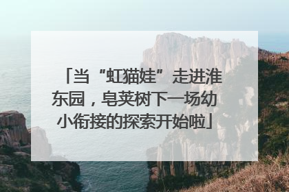 当“虹猫娃”走进淮东园，皂荚树下一场幼小衔接的探索开始啦