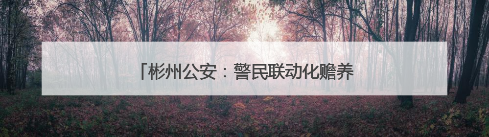 彬州公安：警民联动化赡养纠纷 枫桥经验守护夕阳红