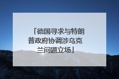 德国寻求与特朗普政府协调涉乌克兰问题立场
