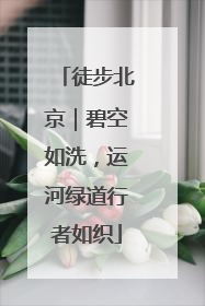 徒步北京｜碧空如洗，运河绿道行者如织