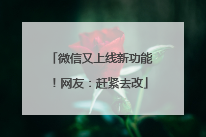微信又上线新功能！网友：赶紧去改