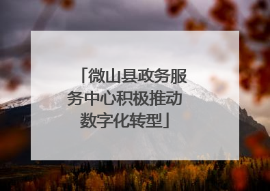 微山县政务服务中心积极推动数字化转型
