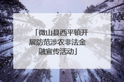 微山县西平镇开展防范涉农非法金融宣传活动