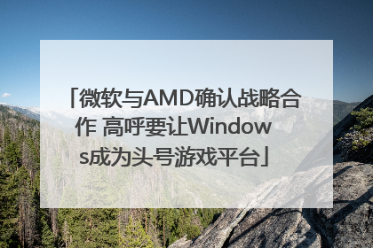 微软与AMD确认战略合作 高呼要让Windows成为头号游戏平台