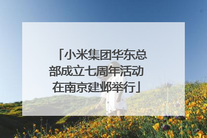 小米集团华东总部成立七周年活动在南京建邺举行