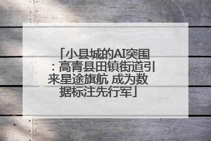 小县城的AI突围：高青县田镇街道引来星途旗航 成为数据标注先行军