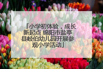 小学初体验，成长新起点 绵阳市盐亭县岐伯幼儿园开展参观小学活动