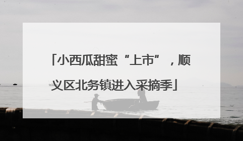 小西瓜甜蜜“上市”，顺义区北务镇进入采摘季