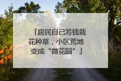 居民自己筹钱栽花种草，小区荒地变成“微花园”