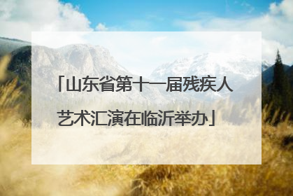 山东省第十一届残疾人艺术汇演在临沂举办