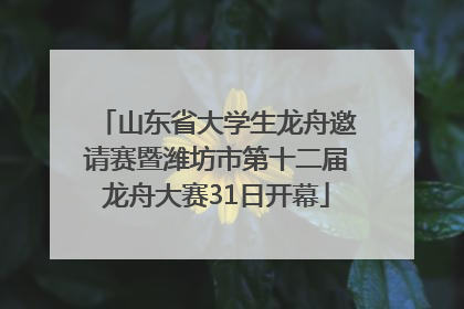 山东省大学生龙舟邀请赛暨潍坊市第十二届龙舟大赛31日开幕