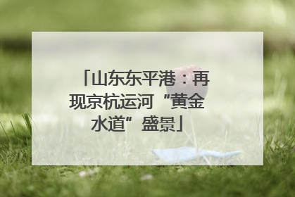 山东东平港：再现京杭运河“黄金水道”盛景
