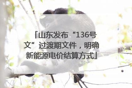 山东发布“136号文”过渡期文件，明确新能源电价结算方式
