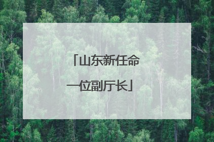 山东新任命一位副厅长